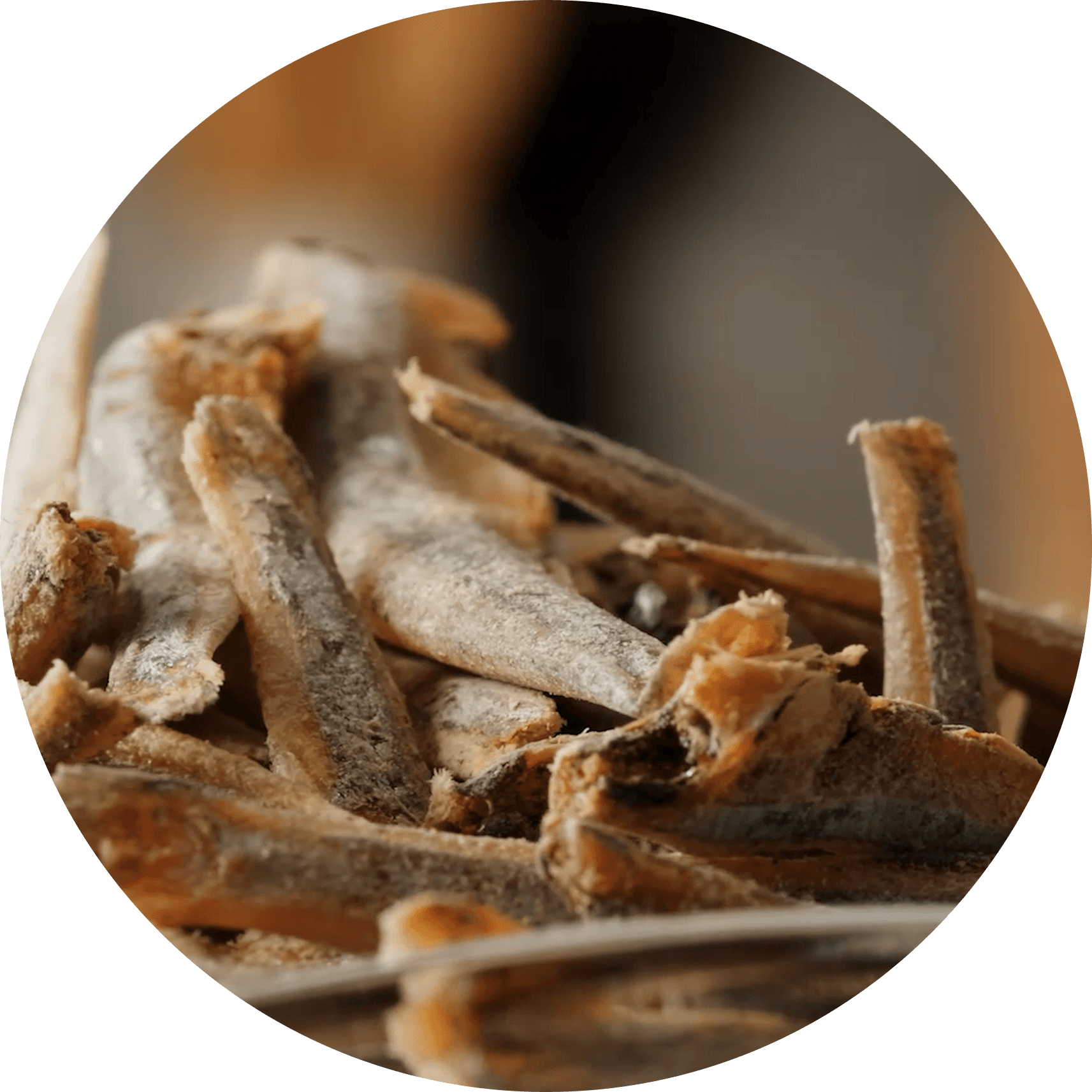 dried sardines